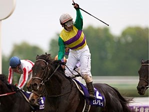 Hiruno d'Amour Prevails in Tenno Sho Spring Hiruno d'Amour Prevails in Tenno Sho Spring
