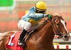 Graduation Stakes winner Strong Wind takes on 9 in the Bob Benoit California Cup Juvenile Stakes.