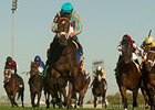 Filly My Conquestadory Dazzles in Summer Bow Filly My Conquestadory Dazzles in Summer Bow