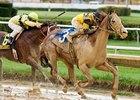 Awesome Gem is the 5-2 morning line choice in the New Orleans Handicap.