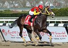 Trinniberg and Willie Martinez cruise to victory in the Bay Shore.