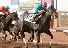 Liberty Bull scores by two lengths in the $600,000 WinStar Derby at Sunland Park March 16.
