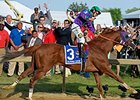 California Chrome<br><a target="blank" href="http://photos.bloodhorse.com/TripleCrown/2014-Triple-Crown/Preakness-Stakes-139/i-dChc372">Order This Photo</a>