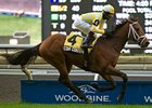 Star Contender motors home to win the Cup and Saucer.