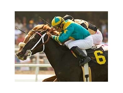 Sweeter Still takes on a pair of well-regarded John Sadler trainees in Oak Tree's Harold C. Ramser Sr. Handicap (gr. IIIT).
