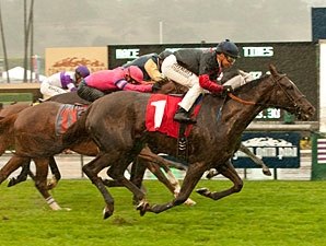 Vamo a Galupiar Seeks Double in Santa Barbara Vamo a Galupiar Seeks Double in Santa Barbara