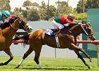 Polonius holds off favorite Indian Sun to take the Will Rogers.<br><a target="blank" href="http://www.bloodhorse.com/horse-racing/photo-store?ref=http%3A%2F%2Fpictopia.com%2Fperl%2Fgal%3Fprovider_id%3D368%26ptp_photo_id%3D4542686%26ref%3Dstory">Order This Photo</a>