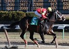 Eightyfiveinafifty, who broke his maiden by 17 1/4 lengths, tries 2 turns in the Whirlaway.<br><a target="blank" href="http://www.bloodhorse.com/horse-racing/photo-store?ref=http%3A%2F%2Fpictopia.com%2Fperl%2Fgal%3Fprovider_id%3D368%26ptp_photo_id%3D8741661%26ref%3Dstory">Order This Photo</a>