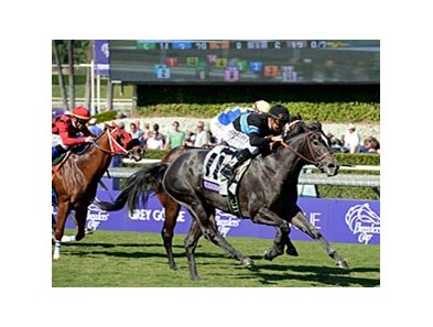 Mizdirection won the 2012 Breeders' Cup Turf Sprint.<br><a target="blank" href="http://photos.bloodhorse.com/BreedersCup/2012-Breeders-Cup/Turf-Sprint/26130142_BL5TMr#!i=2192868162&k=MDWxQzc">Order This Photo</a>