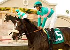 Zenyatta Works, Ready for Lady's Secret Zenyatta Works, Ready for Lady's Secret