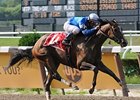 Music Note looks for her fifth straight victory in the Alabama Stakes.<br><a target="blank" href="http://www.bloodhorse.com/horse-racing/photo-store?ref=http%3A%2F%2Fpictopia.com%2Fperl%2Fgal%3Fprovider_id%3D368%26ptp_photo_id%3D5177017%26ref%3Dstory">Order This Photo</a>