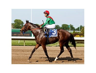 Team Valor's Crimson China finished 2nd in the 2011 Rushaway.