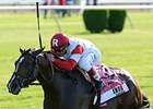 Real Solution<br><a target="blank" href="http://photos.bloodhorse.com/AtTheRaces-1/At-the-Races-2014/i-5ZRwSK8">Order This Photo</a>