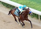 Bodemeister in the Arkansas Derby