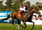 Favored Marlang Runs Off With Sunset 'Cap Favored Marlang Runs Off With Sunset 'Cap