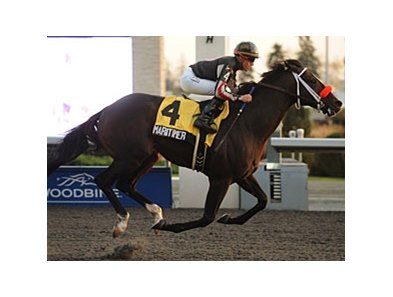 Maritimer was champion Canadian 2-year-old in 2011.