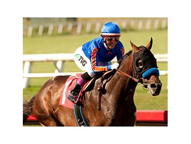 Game On Dude