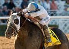Longshot Sahara Sky Scorches Palos Verdes Longshot Sahara Sky Scorches Palos Verdes