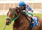 Stormy Lucy, Rusty Slipper Meet in Frankel Stormy Lucy, Rusty Slipper Meet in Frankel