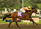 Alphie's Bet Proves Best in Rescheduled Sham Alphie's Bet Proves Best in Rescheduled Sham
