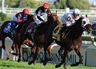 Court Vision makes his 2011 debut in the Maker's Mark Mile.
