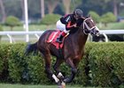 Bashart leads the way home in the With Anticpation.<br><a target="blank" href="http://photos.bloodhorse.com/AtTheRaces-1/at-the-races-2013/27257665_QgCqdh#!i=2731862940&k=W5hVxWT">Order This Photo</a>