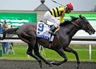 Silver Max gets the jump on the rest to win the Shadwell Turf Mile Stakes.<br><a target="blank" href="http://photos.bloodhorse.com/AtTheRaces-1/at-the-races-2013/27257665_QgCqdh#!i=2812481025&k=87QP2Bs">Order This Photo</a>