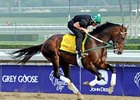 To Honor and Serve jogging prior to the Breeders' Cup.
<br><a target="blank" href="http://photos.bloodhorse.com/BreedersCup/2012-Breeders-Cup/Works/26130247_gxH6nS#!i=2189106488&k=FHgsfSw">Order This Photo</a>