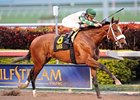 Mucho Macho Man won the 2012 Florida Sunshine Millions Classic.