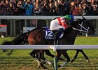 Danon Shark Wins Mile Championship Thriller Danon Shark Wins Mile Championship Thriller