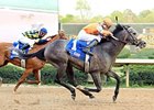 Win Willy sweeps by Misremembered to win the Oaklawn Handicap.