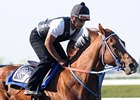 Uptowncharlybrown at Keeneland on April 15.<br><a target="blank" href="http://www.bloodhorse.com/horse-racing/photo-store?ref=http%3A%2F%2Fpictopia.com%2Fperl%2Fgal%3Fprovider_id%3D368%26ptp_photo_id%3D8894462%26ref%3Dstory">Order This Photo</a>