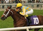 Northern Passion makes his first 2013 start in the Whimsical Stakes.