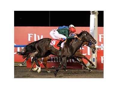 Mendip gets up late to win the Burj Nahaar.