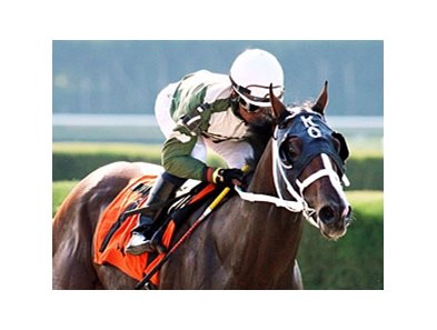 Two T's At Two B won the first three races of his career.