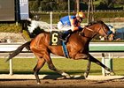 More Chocolate wins the La Canada Stakes.