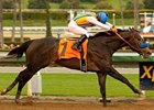 The Factor in the 2011 San Vicente Stakes.
<br><a target="blank" href="http://www.bloodhorse.com/horse-racing/photo-store?ref=http%3A%2F%2Fpictopia.com%2Fperl%2Fgal%3Fprovider_id%3D368%26ptp_photo_id%3D9413792%26ref%3Dstory">Order This Photo</a>