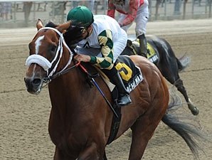 Mucho Macho Man, Alpha Work for Whitney Mucho Macho Man, Alpha Work for Whitney