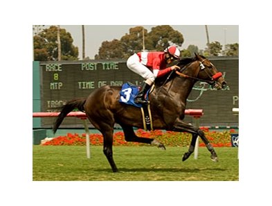 Acclamation was a winner in last year's Jim Murray.<br><a target="blank" href="http://www.bloodhorse.com/horse-racing/photo-store?ref=http%3A%2F%2Fpictopia.com%2Fperl%2Fgal%3Fprovider_id%3D368%26ptp_photo_id%3D8959496%26ref%3Dstory">Order This Photo</a>