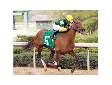 Hysterical Lady (green and yellow silks) begins her winning move at the head of the stretch in the Azeri (gr. III) at Oaklawn March 9.<br><a target="blank" href="http://www.bloodhorse.com/horse-racing/photo-store?ref=http%3A%2F%2Fpictopia.com%2Fperl%2Fgal%3Fprovider_id%3D368%26ptp_photo_id%3D3820329%26ref%3Dstory">Order This Phot</a>