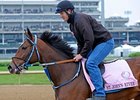 St. John's River finished second in the Kentucky Oaks.<br><a target="blank" href="http://www.bloodhorse.com/horse-racing/photo-store?ref=http%3A%2F%2Fpictopia.com%2Fperl%2Fgal%3Fprovider_id%3D368%26ptp_photo_id%3D9514668%26ref%3Dstory">Order This Photo</a>