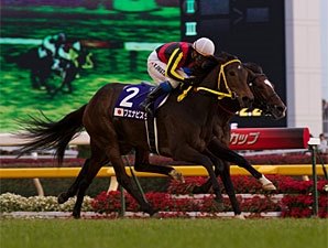 Buena Vista Earns Japan Cup Redemption Buena Vista Earns Japan Cup Redemption
