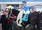 Black Onyx<br><a target="blank" href="http://photos.bloodhorse.com/AtTheRaces-1/at-the-races-2013/27257665_QgCqdh#!i=2426894649&k=vPRJQZp">Order This Photo</a>