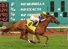 Zagora rolls in the Endeavour at Tampa Bay Downs.