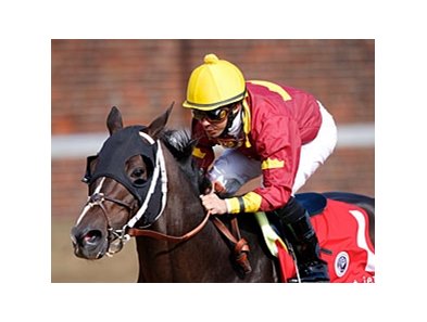 Big Drama
<br><a target="blank" href="http://www.bloodhorse.com/horse-racing/photo-store?ref=http%3A%2F%2Fpictopia.com%2Fperl%2Fgal%3Fprovider_id%3D368%26ptp_photo_id%3D9364959%26ref%3Dstory">Order This Photo</a>