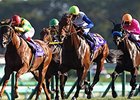 Lord Kanaloa and jockey Yasunari Iwata win the Sprinter Stakes at Nakayama, JPN.
<br><a target="blank" href="http://photos.bloodhorse.com/AtTheRaces-1/at-the-races-2013/27257665_QgCqdh#!i=2801055724&k=wgxkQnp">Order This Photo</a>