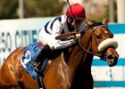 Nereid makes her first start of 2012 in the Wilshire.