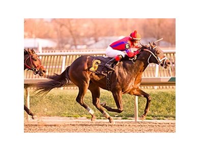 King and Crusader finished first in the Maryland Juvenile Championship, but has been disqualified.