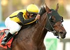 Sanagas and Rajiv Maragh take the Hollywood Turf Cup.
