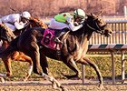 Spotted Heart Upsets MD Filly Championship Spotted Heart Upsets MD Filly Championship